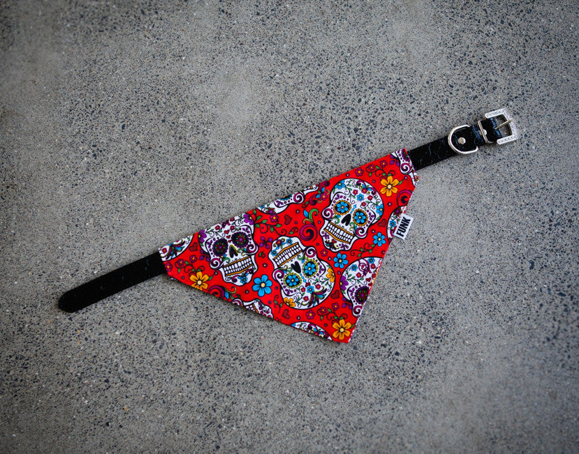 Bandanna Collars