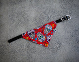 Bandanna Collars