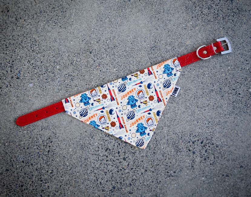 Bandanna Collars