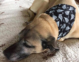 Bandanna Collars